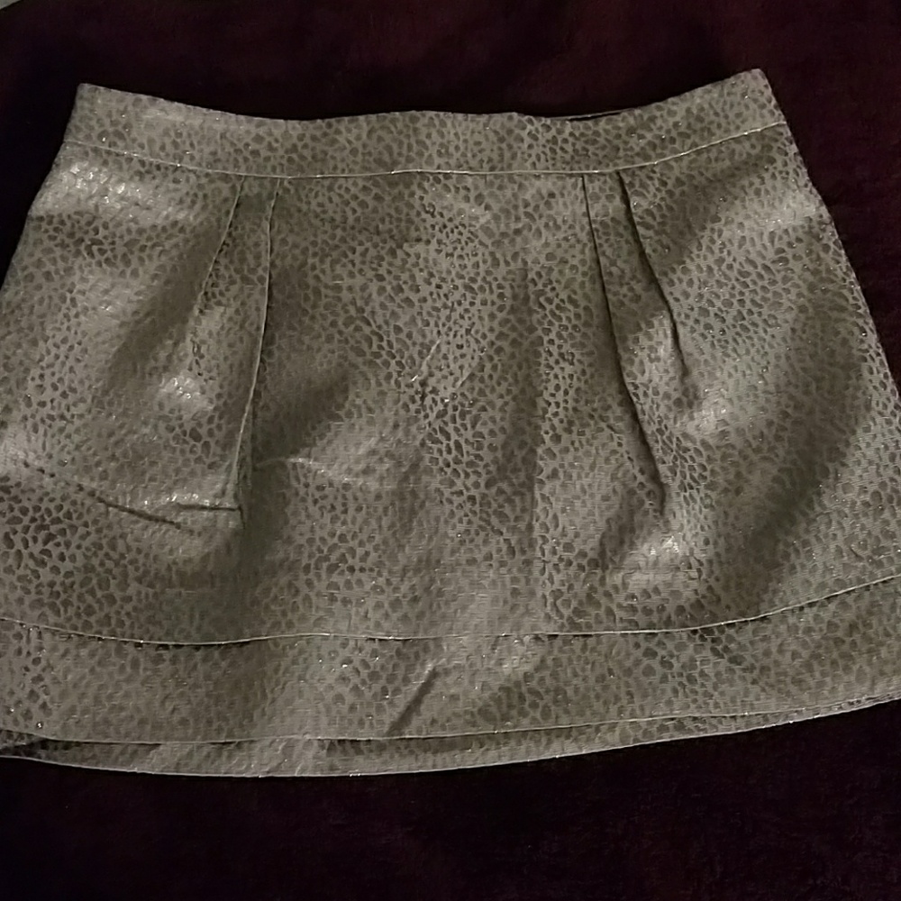 Express Silver Skirt